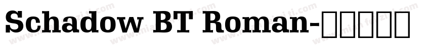 Schadow BT Roman字体转换